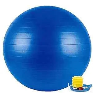 Gym Ball Fitness Exercise Yoga Ball Gymnastic Ball