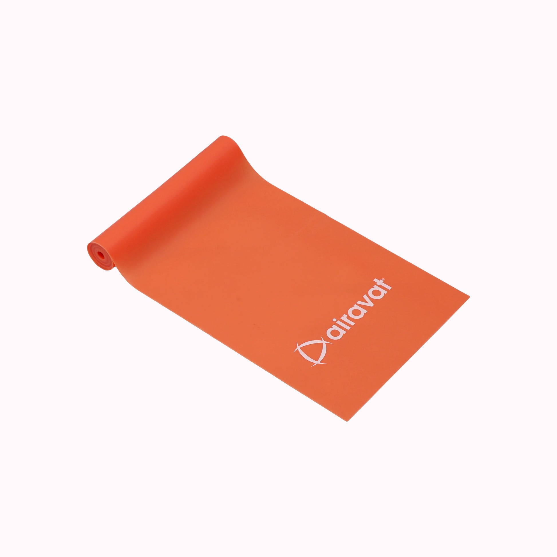 RESISTANCE BAND 4502 ( level 2) - Protein Guru1