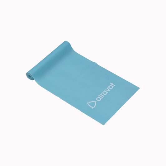 RESISTANCE BAND 4502 ( level 1 ) - Protein Guru1
